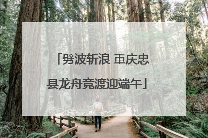 劈波斩浪 重庆忠县龙舟竞渡迎端午