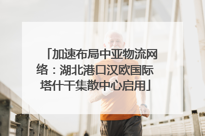 加速布局中亚物流网络：湖北港口汉欧国际塔什干集散中心启用