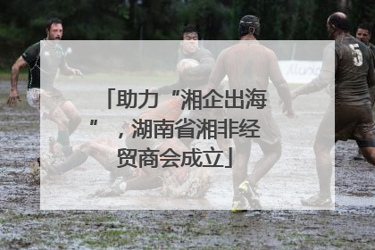 助力“湘企出海”，湖南省湘非经贸商会成立