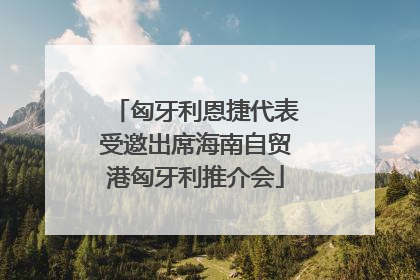 匈牙利恩捷代表受邀出席海南自贸港匈牙利推介会
