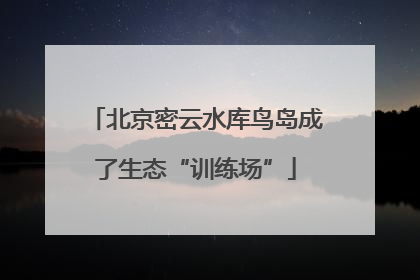 北京密云水库鸟岛成了生态“训练场”