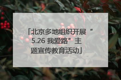 北京多地组织开展“5.26 我爱路”主题宣传教育活动