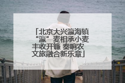 北京大兴瀛海镇“瀛”麦相承小麦丰收开镰 奏响农文旅融合新乐章