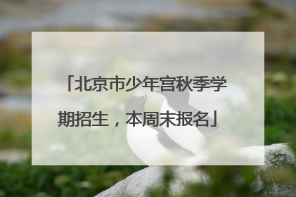 北京市少年宫秋季学期招生，本周末报名