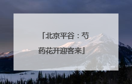 北京平谷：芍药花开迎客来