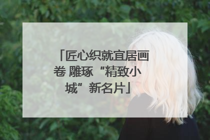 匠心织就宜居画卷 雕琢“精致小城”新名片