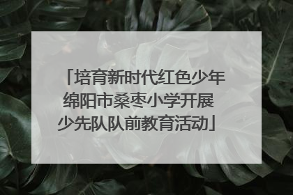 培育新时代红色少年 绵阳市桑枣小学开展少先队队前教育活动