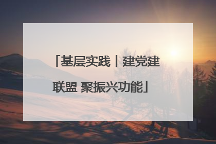 基层实践丨建党建联盟 聚振兴功能
