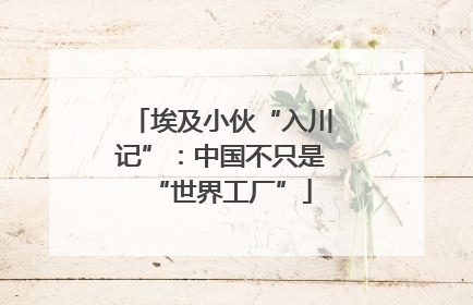 埃及小伙“入川记”：中国不只是“世界工厂”