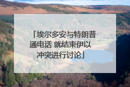 埃尔多安与特朗普通电话 就结束伊以冲突进行讨论