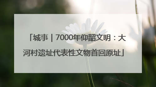 城事｜7000年仰韶文明：大河村遗址代表性文物首回原址