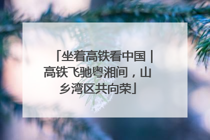 坐着高铁看中国｜高铁飞驰粤湘间，山乡湾区共向荣
