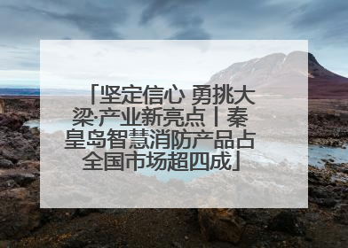 坚定信心 勇挑大梁·产业新亮点丨秦皇岛智慧消防产品占全国市场超四成