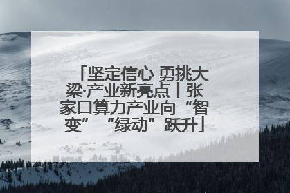 坚定信心 勇挑大梁·产业新亮点丨张家口算力产业向“智变”“绿动”跃升