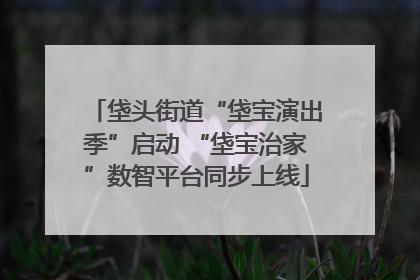 垡头街道“垡宝演出季”启动 “垡宝治家”数智平台同步上线