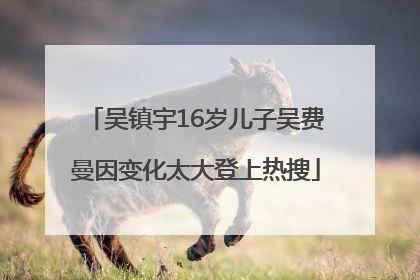 吴镇宇16岁儿子吴费曼因变化太大登上热搜