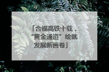 合福高铁十载，“黄金通道”绘就发展新画卷