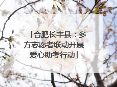 合肥长丰县：多方志愿者联动开展爱心助考行动