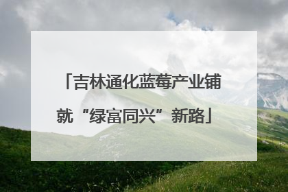 吉林通化蓝莓产业铺就“绿富同兴”新路
