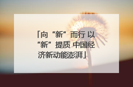 向“新”而行 以“新”提质 中国经济新动能澎湃
