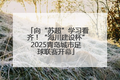 向“苏超”学习看齐！“海川建设杯”2025青岛城市足球联赛开幕