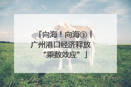 向海！向海③丨广州港口经济释放“乘数效应”