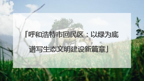 呼和浩特市回民区：以绿为底 谱写生态文明建设新篇章