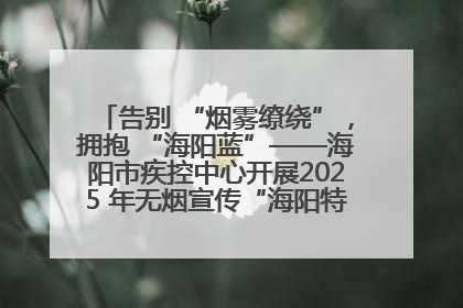 告别 “烟雾缭绕”，拥抱 “海阳蓝”——海阳市疾控中心开展2025 年无烟宣传“海阳特色”实践记录