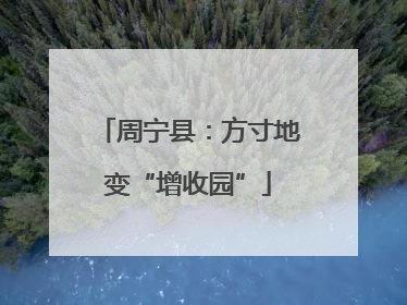 周宁县：方寸地变“增收园”