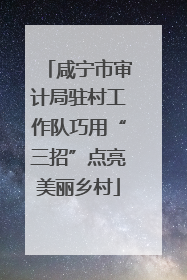 咸宁市审计局驻村工作队巧用“三招”点亮美丽乡村