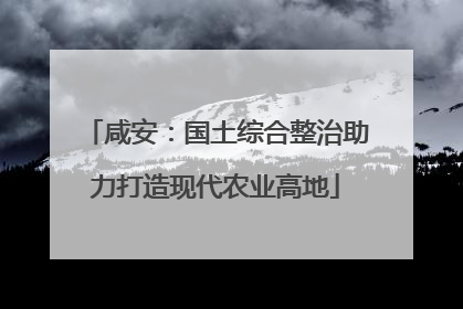 咸安：国土综合整治助力打造现代农业高地
