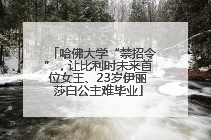 哈佛大学“禁招令”，让比利时未来首位女王、23岁伊丽莎白公主难毕业