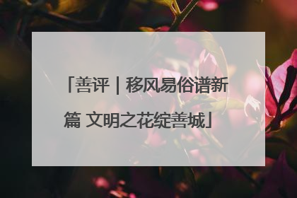 善评｜移风易俗谱新篇 文明之花绽善城