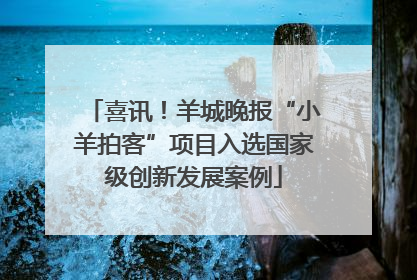 喜讯！羊城晚报“小羊拍客”项目入选国家级创新发展案例