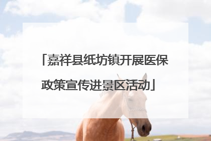 嘉祥县纸坊镇开展医保政策宣传进景区活动