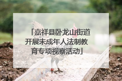 嘉祥县卧龙山街道开展未成年人法制教育专项视察活动