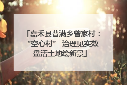 嘉禾县普满乡曾家村：“空心村” 治理见实效 盘活土地绘新景