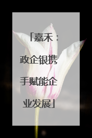 嘉禾：政企银携手赋能企业发展