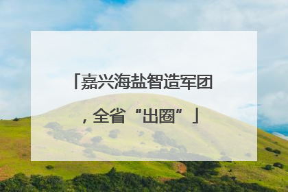 嘉兴海盐智造军团，全省“出圈”