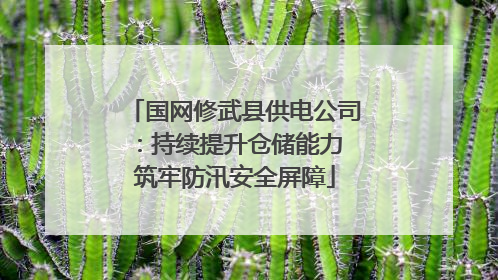 国网修武县供电公司：持续提升仓储能力 筑牢防汛安全屏障
