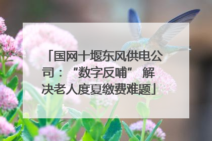国网十堰东风供电公司：“数字反哺” 解决老人度夏缴费难题