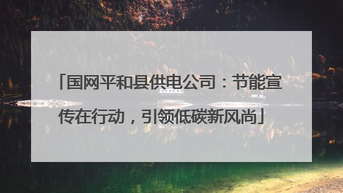 国网平和县供电公司：节能宣传在行动，引领低碳新风尚