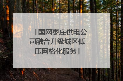 国网枣庄供电公司融合升级城区低压网格化服务