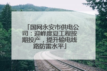国网永安市供电公司：迎峰度夏工程按期投产，提升输电线路防雷水平