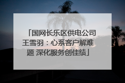 国网长乐区供电公司王雪羽：心系客户解难题 深化服务创佳绩