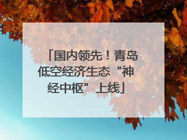 国内领先！青岛低空经济生态“神经中枢”上线