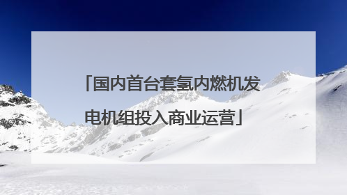 国内首台套氢内燃机发电机组投入商业运营