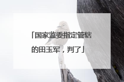 国家监委指定管辖的田玉军，判了
