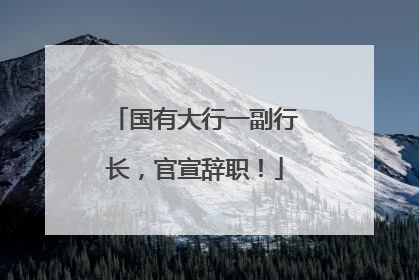 国有大行一副行长，官宣辞职！
