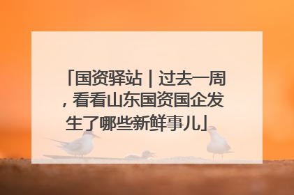 国资驿站｜过去一周，看看山东国资国企发生了哪些新鲜事儿